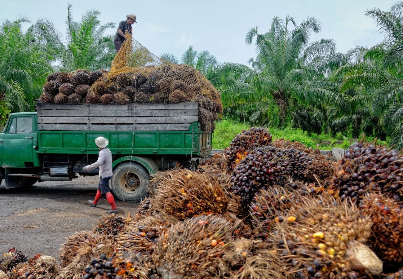 Supporting Health and Sustainability with Locally Sourced Products from Glencoe Farms